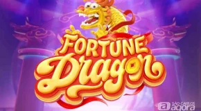 fortunedragon-img